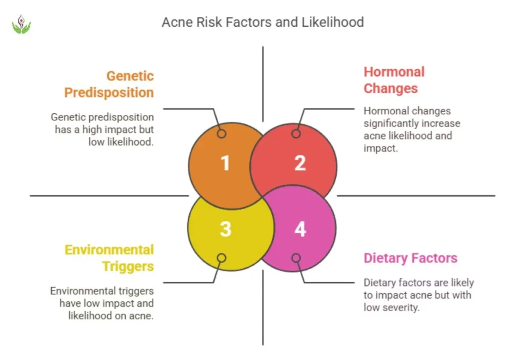 Infographic illustrating acne risk factors: genetics, age, skin friction, and poor dietary habits