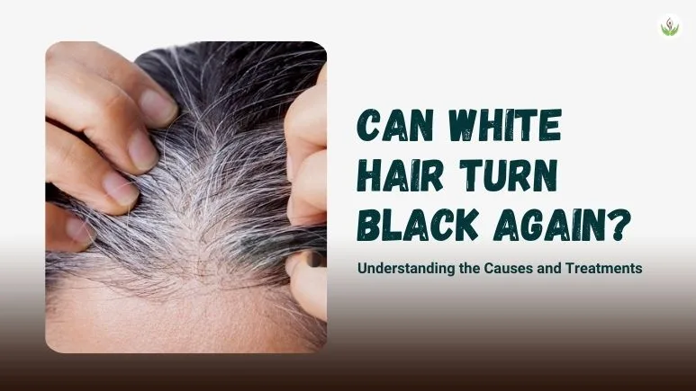 Can White Hair Turn Black Again