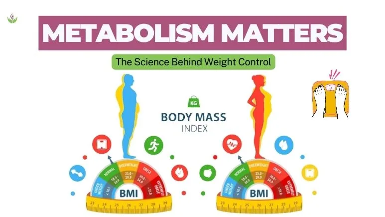 Metabolism Matters: The Science Behind Weight Control